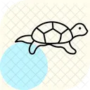 Tortue Detang Tortue Detang Reptile Icône