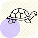 Tortue Du Desert Tortue Du Desert Reptile Icône