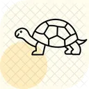 Tortue Grecque Tortue Grecque Reptile Icône