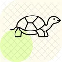 Tortue Liseree Tortue Liseree Reptile Icône