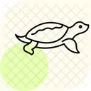 Tortue A Carapace Molle Tortue A Carapace Molle Reptile Icône