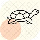 Tortue Serpentine Tortue Serpentine Reptile Icône