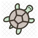 Animal Mar Tortuga Icon