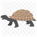 Tortuga Tortuga Animal Icono