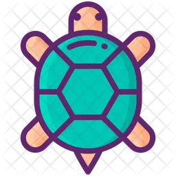 Tortuga  Icono