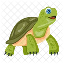 Iconos De Tortuga Tortuga Plana Tortuga Icon