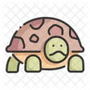 Tortuga Animal Mascota Icon