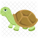 Tortuga Tortuga Galapago Icono