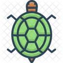 Tortuga Reptil Animal Icon