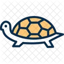 Tortuga Tortuga Animal Marino Icon