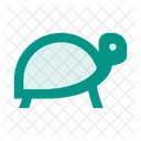 Tortuga Tortuga Mascota Icon