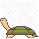 Tortuga  Icono