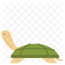 Tortuga Animal Mascota Icono