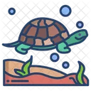 Tortuga Animal Marino Animal Icon