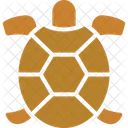 Tortuga Tortuga Acuatica Galapago Icono