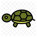 Tortuga Cabeza Animal Icon