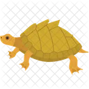 Tortuga Animal Fauna Icono