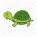 Tortuga Tortuga Animal Icon