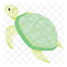 Tortuga  Icono