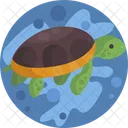 Naturaleza Tortuga Tortuga Icon