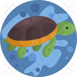 Tortuga  Icono