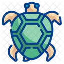 Tortuga  Icon