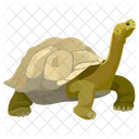 Tortuga  Icono