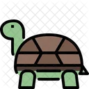 Tortuga  Icon