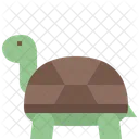 Tortuga Animal Salvaje Icono