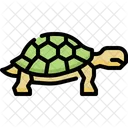 Tortuga  Icono