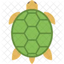 Tortuga Tortuga Mar Icon