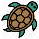 Tortuga  Icon