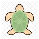 Tortuga Pez Mar Icon