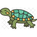 Tortuga  Icon