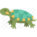 Tortuga  Icon