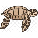 Tortuga Mar Fauna Icon