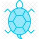 Tortuga  Icono