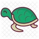 Tortuga  Icon