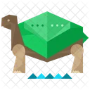 Tortuga Animales Icon