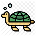 Tortuga  Icon