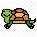 Tortuga  Icon