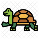 Tortuga  Icono