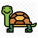 Tortuga  Icon