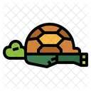 Tortuga  Icon