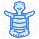 Tortuga  Icon