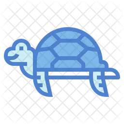 Tortuga  Icono