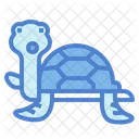 Tortuga  Icono