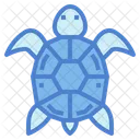 Tortuga  Icon