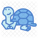 Tortuga  Icon