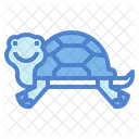 Tortuga  Icon